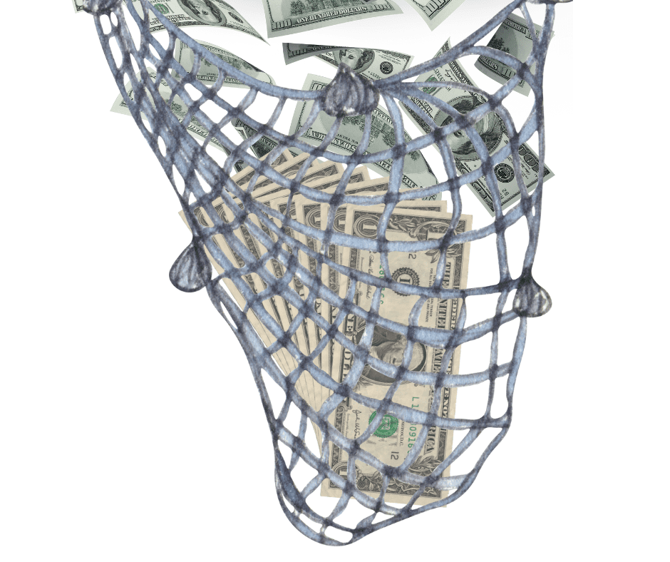 money in net